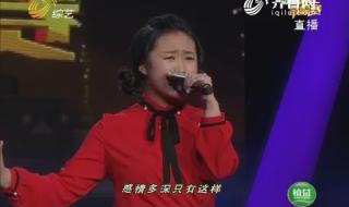 星光大道总决赛 星光大道总决赛