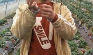 安庆初中排名前十名 安庆初中排名前十名